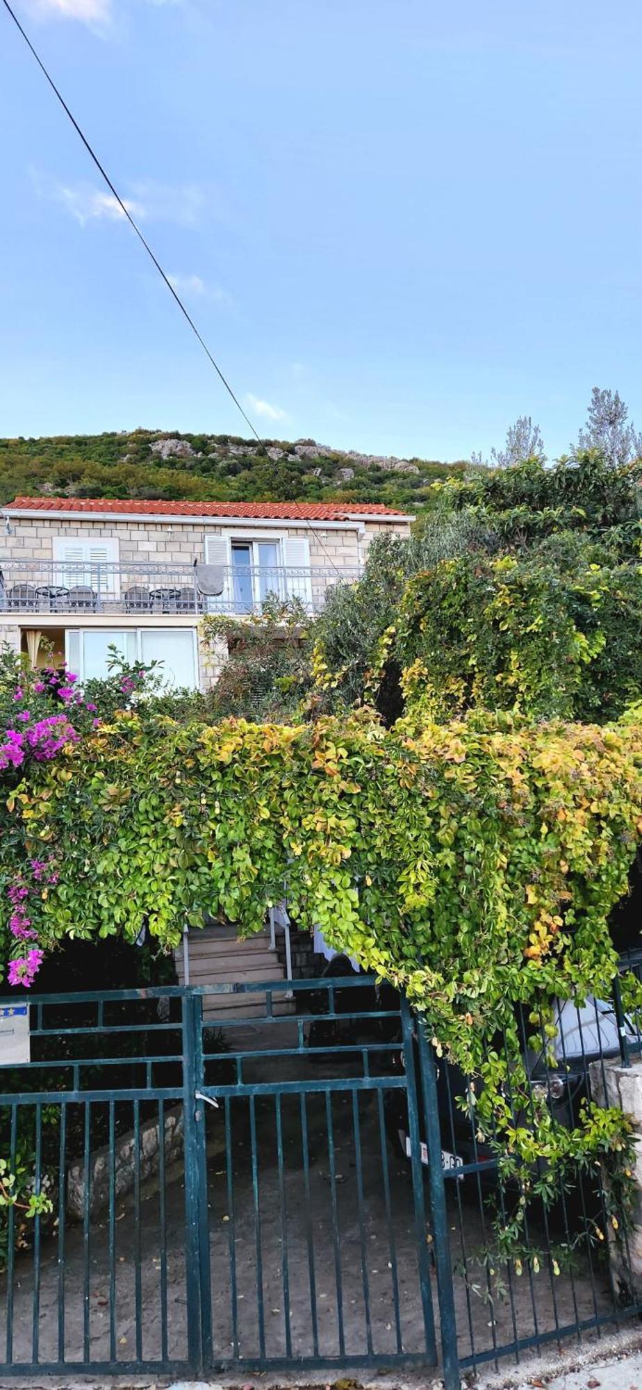 Tranquility And Nature In 4 Bedroom With Sea View *